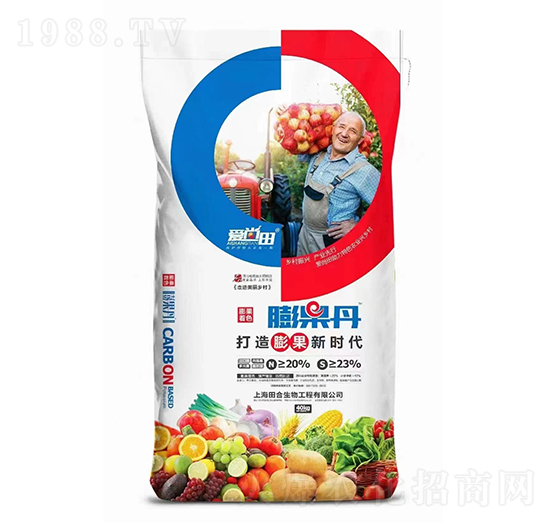 �����-������-�������