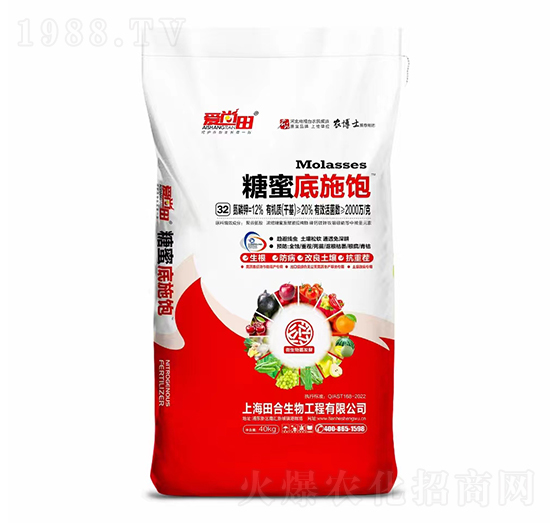 ���۵�ʩ�-�������