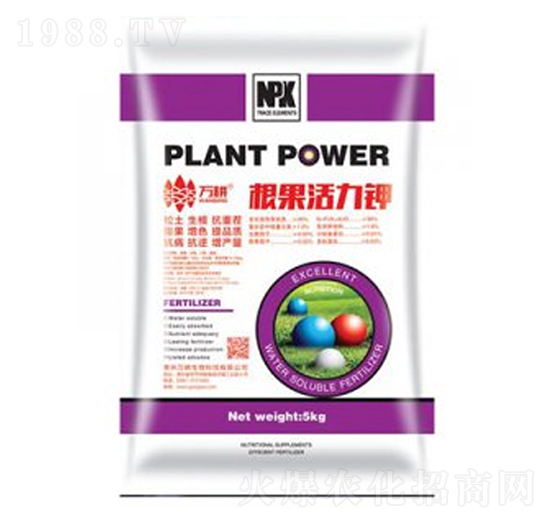 ��������⛷�-�f(w��n)������