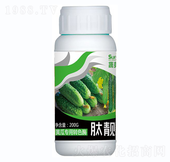 �S�ό�(zhu��n)���D(zhu��n)ɫø-���n��-������