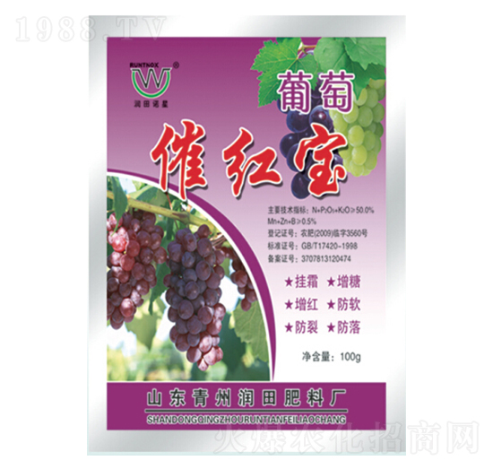 ���Ѵ߼t��-��(r��n)�����