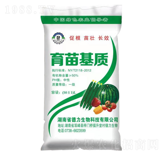 �߹�������|-��������