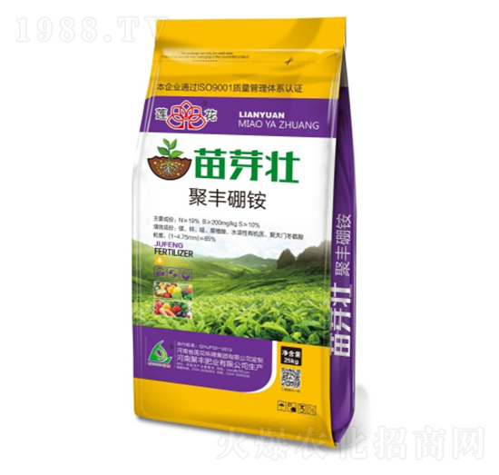 ��ѿ��-���S�ʘI(y��)