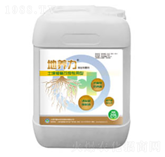 �����ޏ�(f��)��������-���B(y��ng)��-��(gu��)�h(hu��n)���B(t��i)