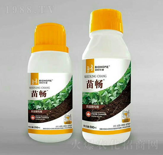 �����ڌ���-�畳-�����r(n��ng)�I(y��)