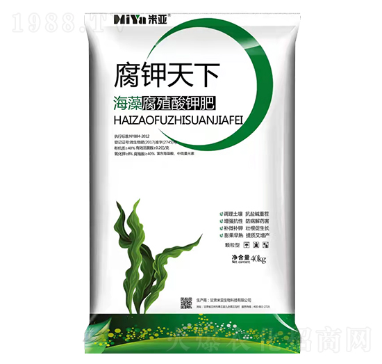 ���帯ֳ��⛷�-�������-�ׁ�����