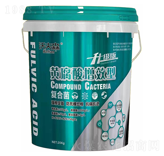 �S������Ч�͏�(f��)�Ͼ�-�ַ�ɭ-���������