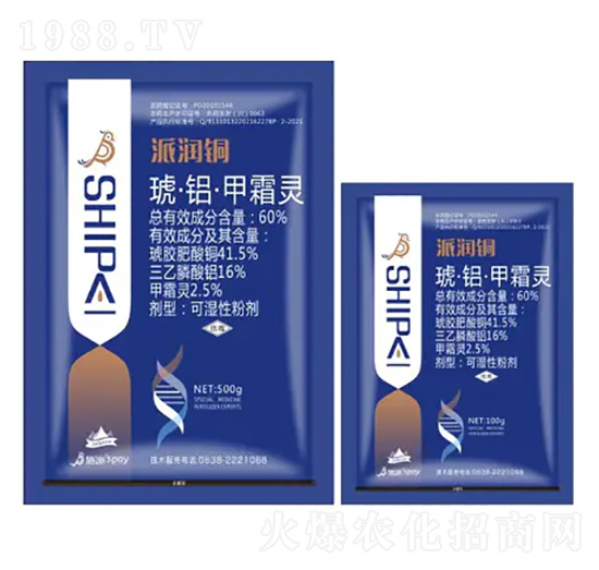 60%�����X����˪�`-�ɝ��~-ʩ������