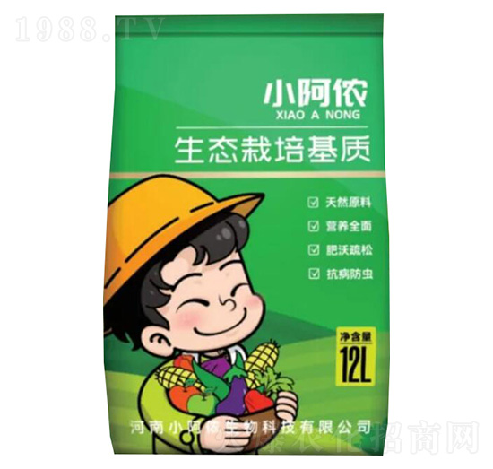 ���B(t��i)������|(zh��)-С���z