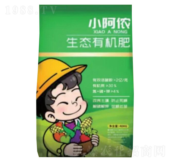 ���B(t��i)�ЙC(j��)��-С���z