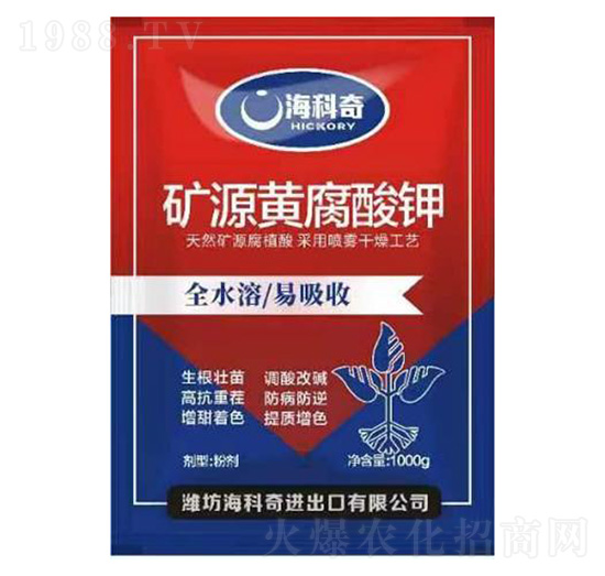 �VԴ�S�����-������