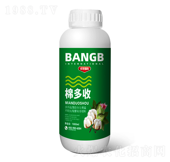 �޶���-����H