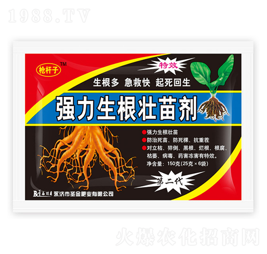 �����������焩-���U��-ʥ��ʘI(y��)