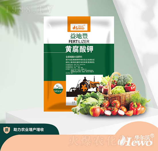 �S�����-�A����