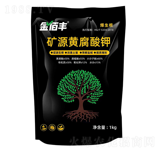 �VԴ�S�����-����S��������-�ذ�����