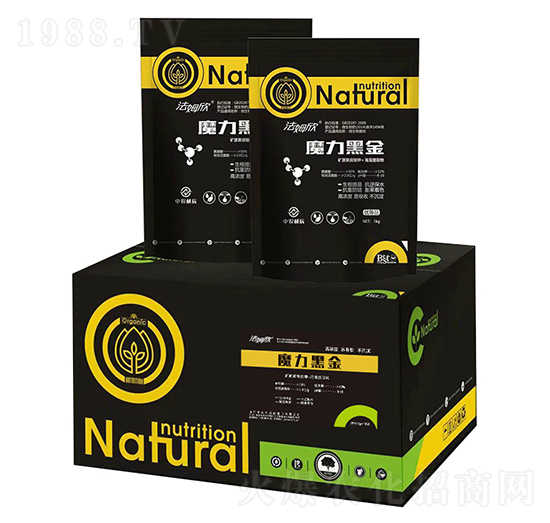 ħ���ڽ�-��ķ��-���r(n��ng)����