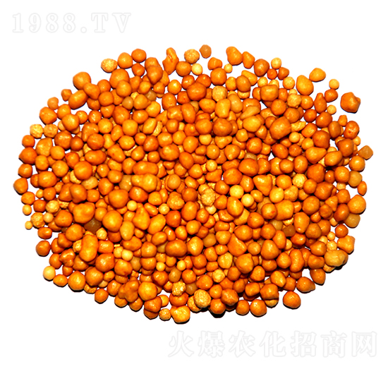 ����n�w����ጷ�15-7-13-ïʩ����