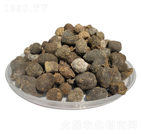 �F�ݾ���-�����ʘI(y��)