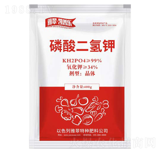 ��������-�P�՘�-�Ŵ�����