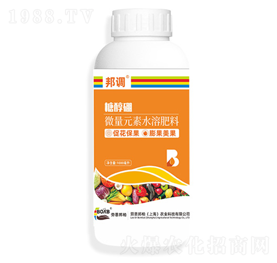 1000ml�Ǵ���-���{-�ڶ����