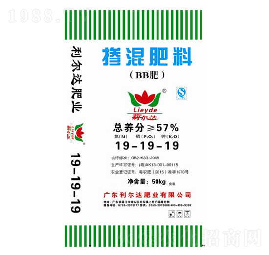�������19-19-19-�����_(d��)�ʘI(y��)