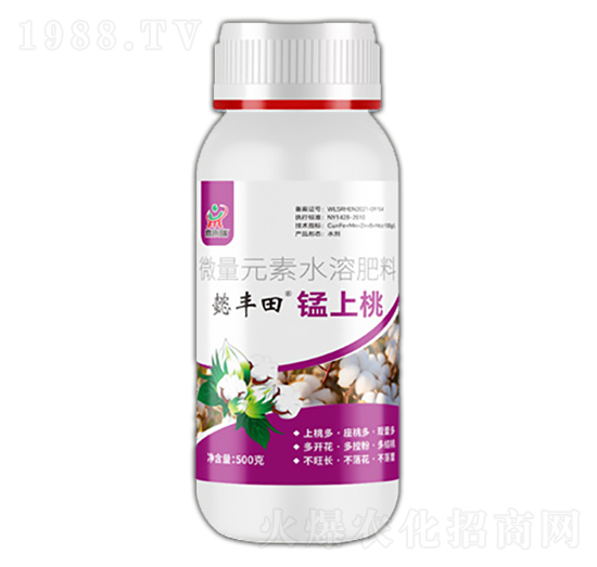 �i����-ܲ�S��-������