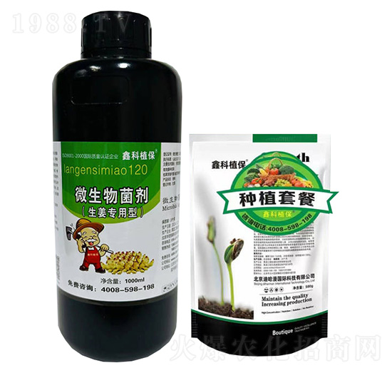 �����ο�ֲ�������ײ� ������ ���������ӌ�(zhu��n)��