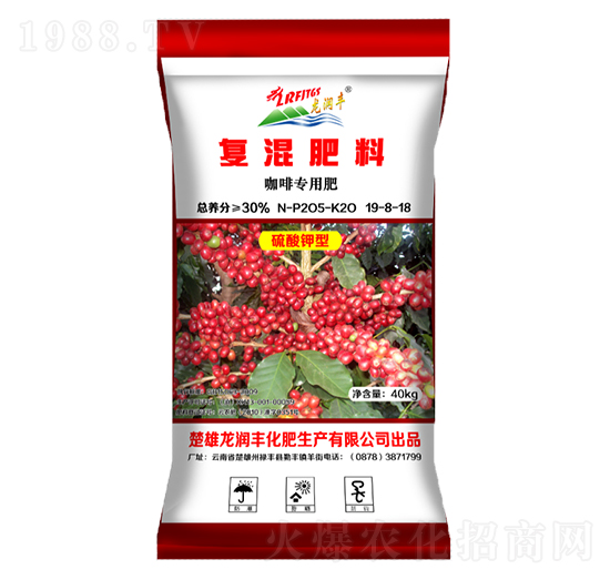 ���Ȍ��Ï�(f��)�����19-8-18-����(r��n)�S