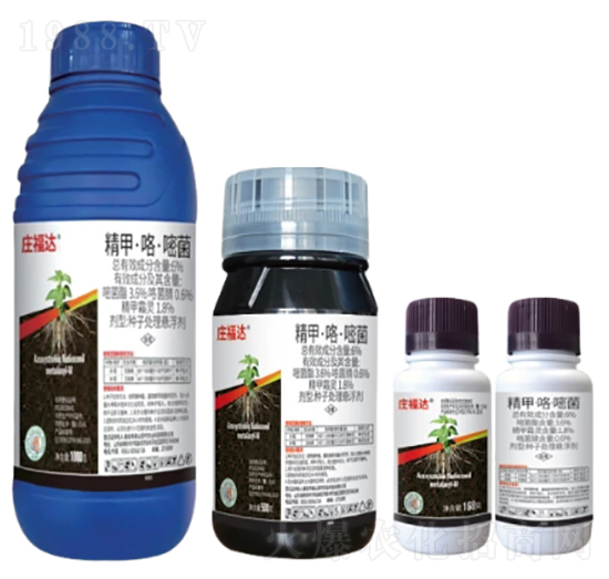 6%���ס������׾��N��̎��Ҹ�����FS��-�f���_(d��)-�л�����ƌW(xu��)