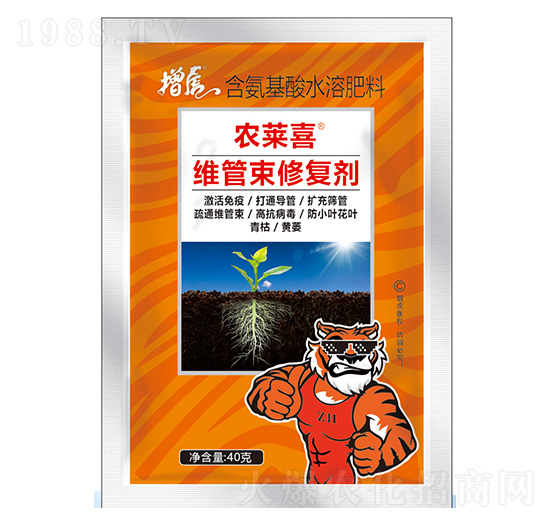 �S�����ޏ̈́�-�r�Rϲ-���A�r�I(y��)