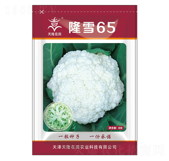 ¡ѩ65-��¡����-��¡�r(n��ng)�I(y��)