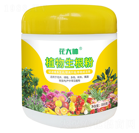 ֲ��������-����-�G�ַʘI(y��)