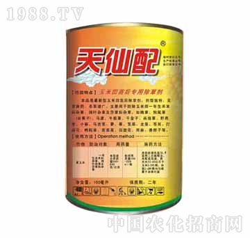 ����-������