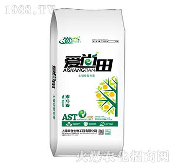 �����ޏ�(f��)����-��(��i)����-�������