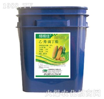 ��ݬ�ζ���-ͰͰ��-�G��