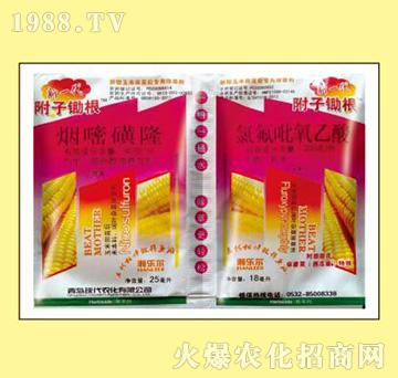 ���׻�¡+�ȷ���������-���ӳ���-嫘�(l��)��