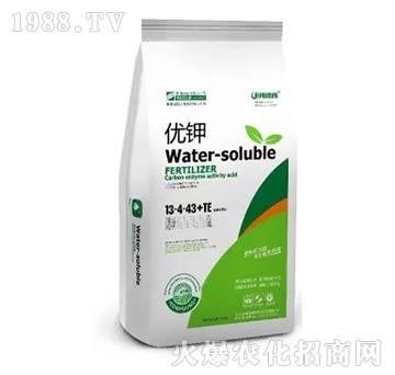 ��(y��u)�13-4-43+TE