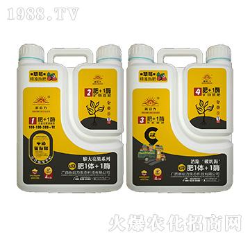 ��ݮ��(zhu��n)�ã����������-��1�w+1ø-����