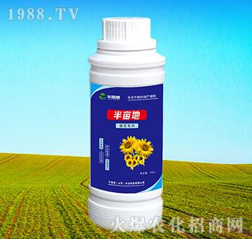 ���������~���-�뮀��