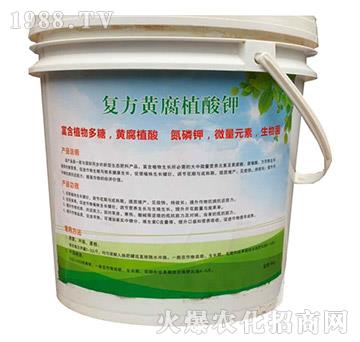 ��(f��)���S��ֲ��-�콡����