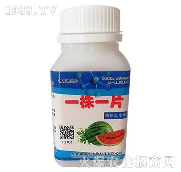 ����ό���-һ��һƬ