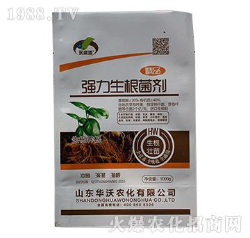 ��(qi��ng)������������1000g��-��ʢԴ-�A���r(n��ng)��