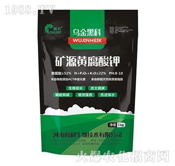 �VԴ�S�����-����ڿ�-��������