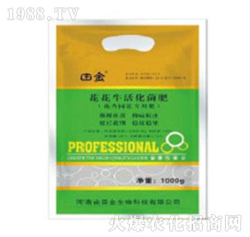 �����������-�������