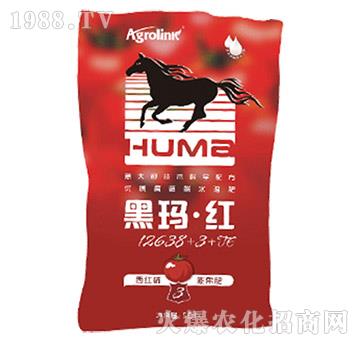 ���t����(zhu��n)��ˮ�ܷ�-�ڬ����t12638+3+TE-�S(li��n)�r(n��ng)�I(y��)
