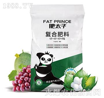 ��(f��)�Ϸ���17-17-17+TE-��̫��