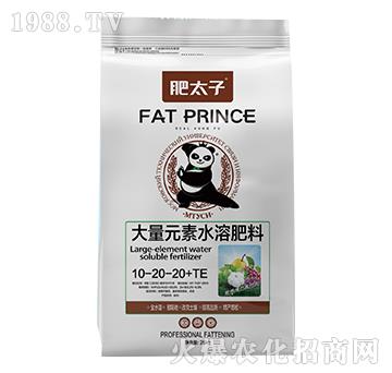 ����Ԫ��ˮ�ܷ���10-20-20+TE-��̫��