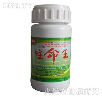 300ml����ֲ��ˮ�ܷ���-������-��(bi��o)��-���S��