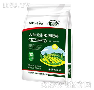 ����Ԫ��ˮ�ܷ���12-5-40+TE-�ٚW-ζ������