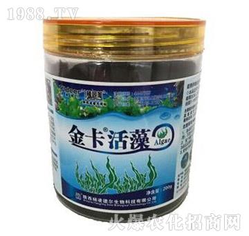 �𿨻���-��?t��ng)����? />
                                </div>
                            </div>
                            
                            <style type=